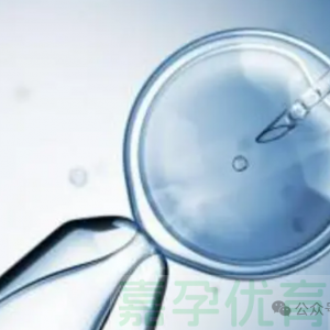 二代试管仍失败？揭开精子'明星蛋白'PLCZ1的致命缺陷！
