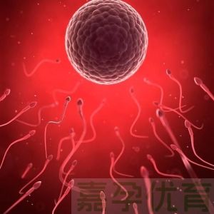无精症做试管婴儿，能迎来自己的宝宝吗？