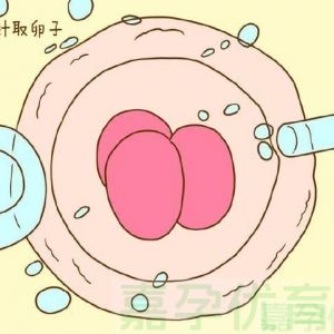 一文读懂！试管婴儿那些关键 “率”