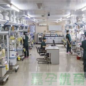 试管总失败？这两个关键没抓住，难怪好孕迟迟不来！