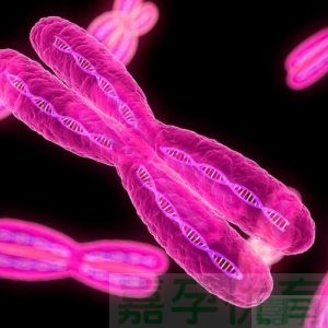 染色体异常别慌！一篇说清该做几代试管、如何预防
