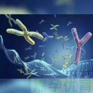 移植高评分胚胎却未成功受孕？这些关键因素不容小觑！