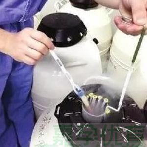 34 岁地贫妈妈的求子长征：那些在试管路上咬牙坚持的日子