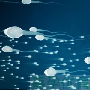 做试管婴儿，男方精子得达标！这 4 个 “硬指标” 别忽视