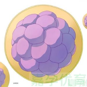 AMH 低到快没数值？做好这 5 点，哪怕只剩一颗卵也有机会