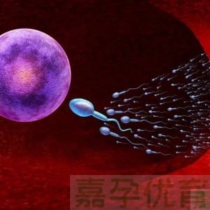 为啥只有 40% 的胚胎能成功着床？一文讲清