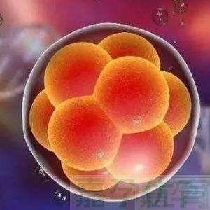 3 次试管都没成？别慌！反复移植失败的 5 个 “真凶”，以