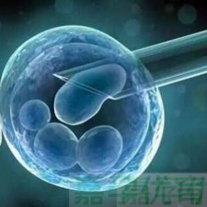 试管路上的 10 个高频疑问，医生不会天天讲但你必须知道