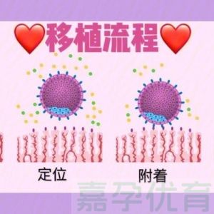 早孕期别再瞎查孕酮了！医生不推荐的真相，90% 孕妈都踩过坑