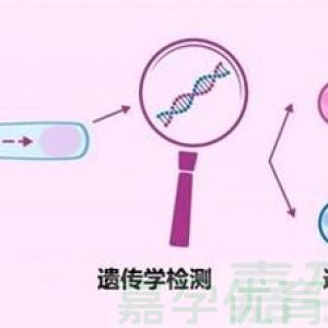 移植4AB囊胚+内膜达标，为啥还是没怀上？试管成功的4个关键
