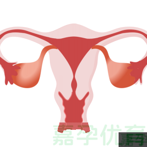 44岁再婚求子：输卵管复通后又走IVF，这场硬仗她赢了！