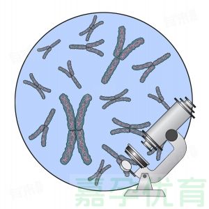 必看！40%优质胚胎藏“暗疾”，难怪你反复试管失败、总胎停
