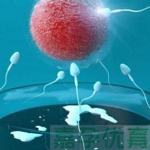 第1、2、3、4代试管婴儿到底有什么区别？
